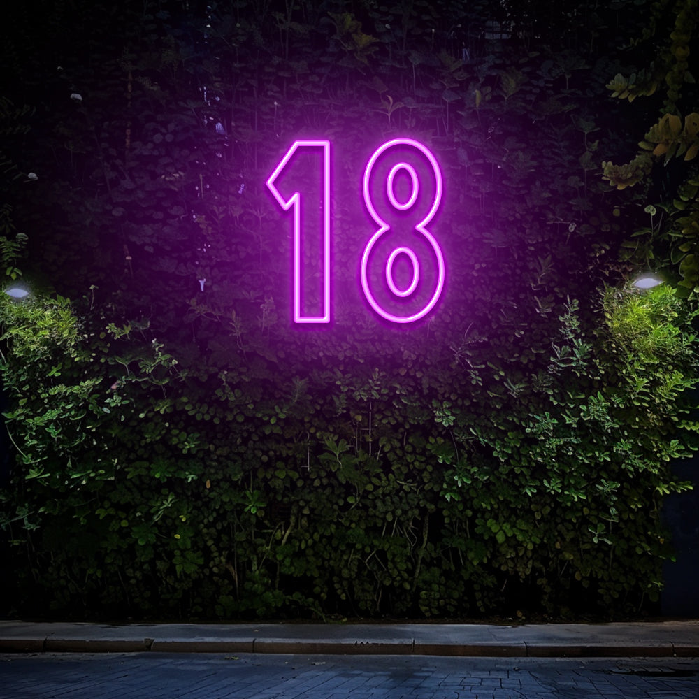 18 - LED Neon Sign