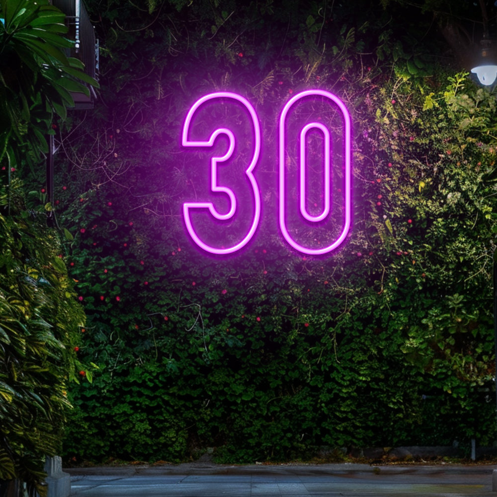 30 - LED Neon Sign