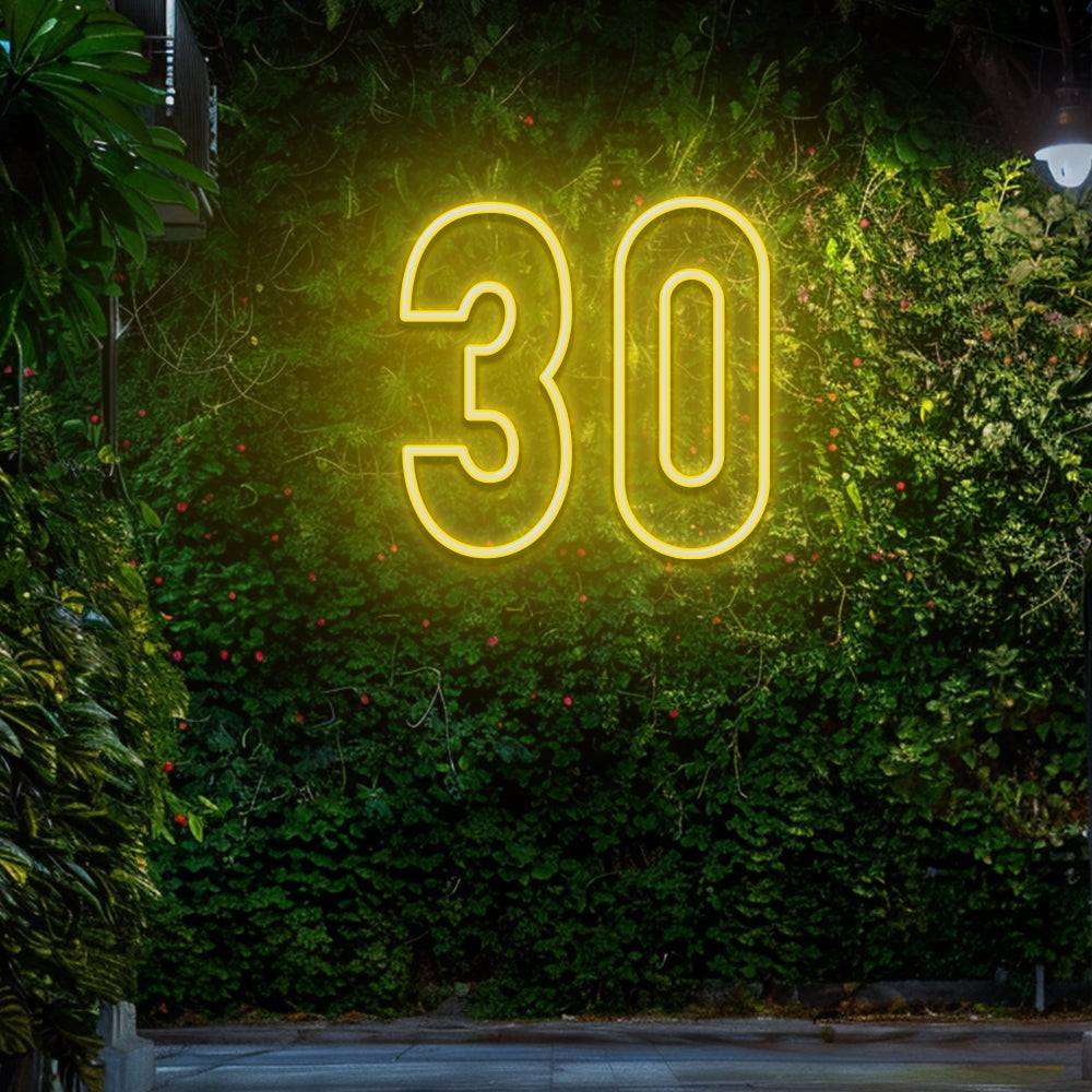 30 - LED Neon Sign