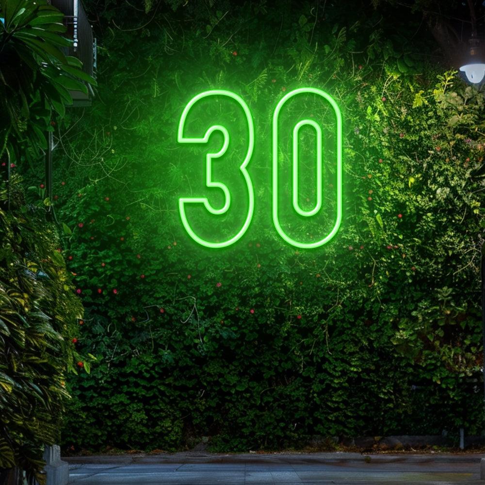 30 - LED Neon Sign - NeonNiche