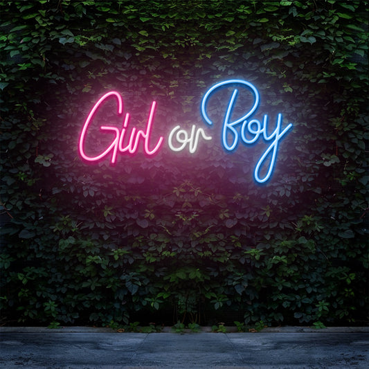 Girl or Boy - LED Neon Sign