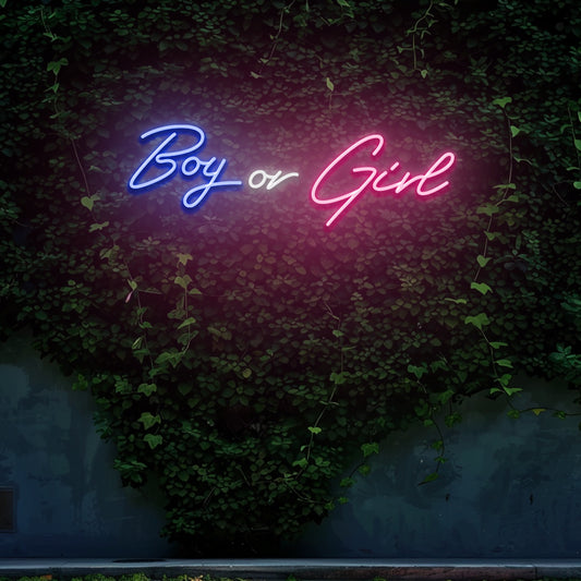 Boy or Girl - LED Neon Sign