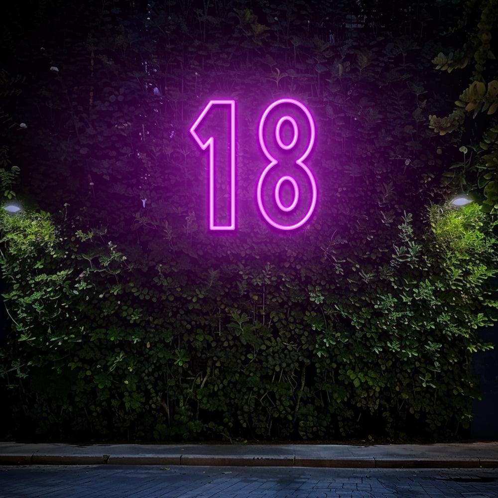 LED Neon Sign, 18th Birthday Neon – NeonNiche