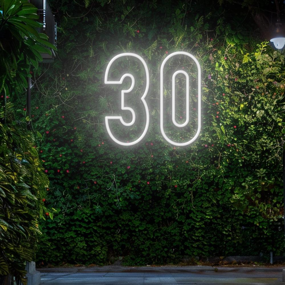 30 - LED Neon Sign – NeonNiche