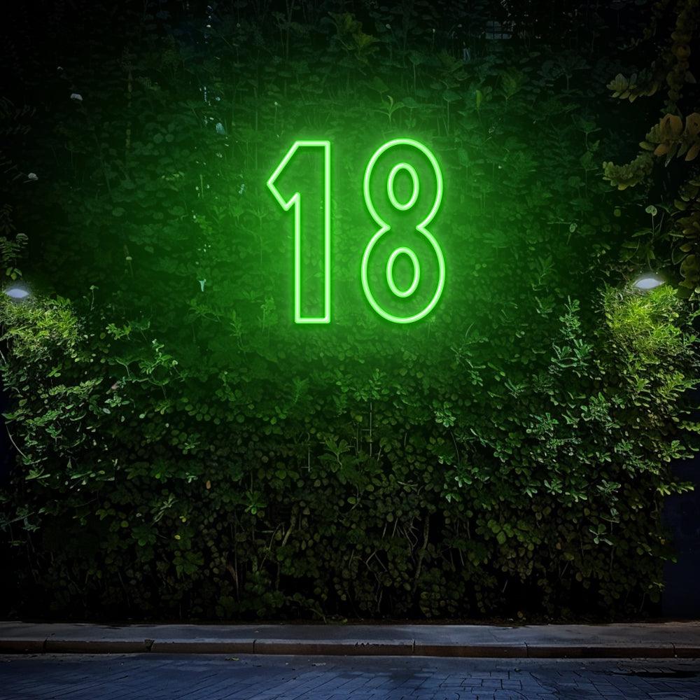LED Neon Sign, 18th Birthday Neon – NeonNiche