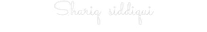 Custom Neon: Shariq siddiqui - NeonNiche